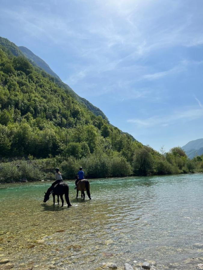Apartment Baban In Zaga, Slovenia Dış mekan fotoğraf