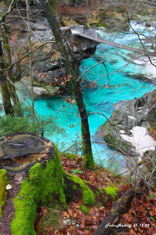 Apartment Baban In Zaga, Slovenia Dış mekan fotoğraf